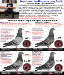 Redstar Pigeon Auction