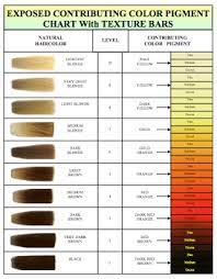 Secrets Of The Contributing Color Pigment Chart Video Hair Color Chart Hair Color Hair Color Wheel