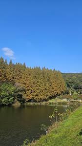 블라인드 | 여행·먹방: 릴스 맛집 다녀왔지만(한국외대 글로벌캠)