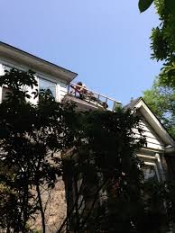 There are myriads of pest control methods that can totally eliminate pest infestations. North Jersey Animal And Pest Control L L C 78 Old Denville Road Boonton Township Nj 07005 Yp Com