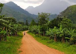 Uganda Climate Guide Best Time To Visit Weather Rain Temp By Month Africa Travel Uganda Travel El Salvador Travel