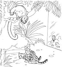 Envisions the heap of creatures he'd have in his own personal zoo, and the undertakings he'll need to go on to assemble them all. If I Ran The Zoo Coloring Pages Zoo Coloring Pages Animal Coloring Pages Zoo Animal Coloring Pages