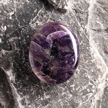 Image result for Ischaemum amethystinum