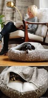 You could set it out to the curb. How To Make A Diy Burrow Dog Bed Diy Dog Bed Diy Dog Stuff Diy Stuffed Animals