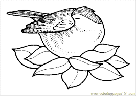 Learn to identify nests by size and shape. Coloring Pages Bird Nest 3 Coloring Page For Kids Free Trees Printable Coloring Pages Online For Kids Coloringpages101 Com Coloring Pages For Kids