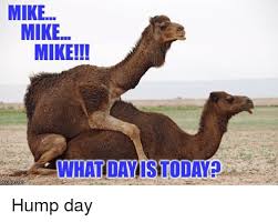 Mike does not mean millimeter, but mm. Happy Hump Day Meme Camel