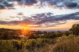 Navštiv památky světoznámé i ty, kde se. Fotografie Borkovany Jizni Morava Galerie Megapixel