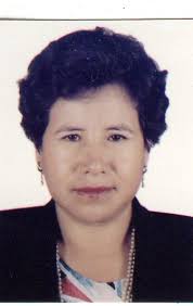 Directorio de Recursos Humanos afines a la CTI