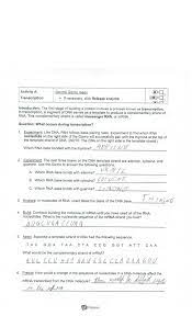 Dna also can replicateor make copies of itself. Building Dna Gizmo Answer Key 2 This Can Be Relevant To Student Exploration Building Dna Gizmo Answer Key Roda Dunia