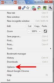 Check spelling or type a new query. How To Disable Javascript And Plugins In Google Chrome