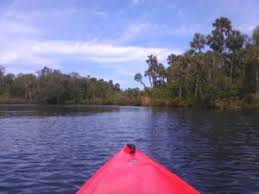 Pithlachascotee River New Port Richey Florida Adventurer