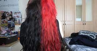 Pin By Kailey On Hair Ideas Split Dyed Hair Hair Color For Black Hair Half Colored Hair