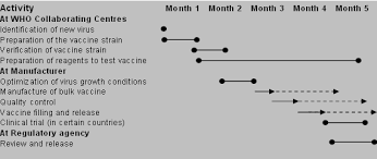 who pandemic influenza vaccine manufacturing process and