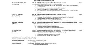 Curriculum Vitae Francais Modelo De Curriculum Vitae