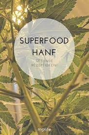 superfood hanf rezepte zum kochen und backen mylife high protein snacks protein snacks free food