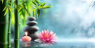 Stock Photo In 2020 Alternative Therapies Water Lilies Love Is An Action