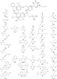 Image result for Cyperus longicarpus