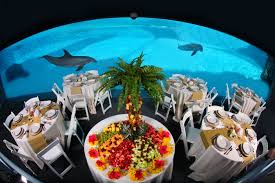 Private Events Texas State Aquarium Aquarium Wedding Wedding Venues Wedding Venues Texas