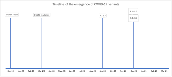 Watching Brief The Evolution And Impact Of Covid 19 Variants B 1 1 7 B 1 351 P 1 And B 1 617