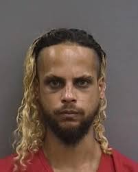 2nd man arrested in death of Seffner mother found slain in car