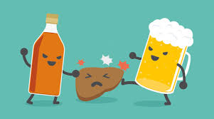 Nach nur zwei bis vier wochen alkoholabstinenz verstärkt sich bereits wieder dein immunsystem, das vorher durch alkoholkonsum angegriffen wurde. Die Leber Wird Bei Dem Trinken Von Alkohol Schwer In Mitleidenschaft Gezogen Starken Sie Sie Auf Naturlichem Wege Ihrekraeuterkenner De