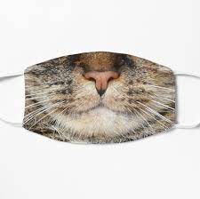 Cat Face Corona Mask Mask By Coronamasks Mask Cat Face Cats