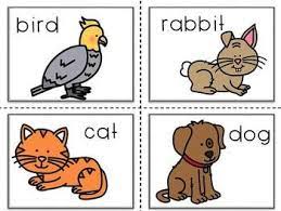 Conversation Kit Taking Care Of Pets Esl Vocabulary Cards Pets Language Development