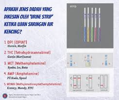 Obat ini dapat menjadi cara menghilangkan kadar sabu yang cepat dan mampu menetrasilir racun dalam tubuh serta membersihkan darah dari racun dengan cara meningkatkan antybodi dalam darah. Infoaadk Jenis Dadah Yang Aadk Negeri Sembilan Facebook