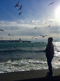 Istanbul Besiktas Sahili Sahil Istanbul