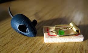 Two deadly electric mouse trap / diy electric mouse trap a mousetrap is a specialised type of animal trap designed primarily to. Best Mouse Trap The Most Effective Ones Available Right Now Epic Gardening