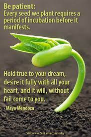 Quotes About Planting Seeds Quotesgram