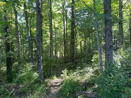 Curtis Gates Lloyd WMA — Old-Growth Forest Network