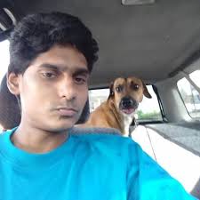 Chinese mist blower recommendations vs Stihl or Echo