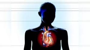 Here is a list of some other parts of the body that have not been included above. Cholesterol à®• à®Ÿ à®Ÿ à®• à®´ à®ª à®ª à®¨ à®• à®• à®¨à®² à®² à®• à®´ à®ª à®ª à®ª à®± à®Žà®© à®© à®š à®¯ à®¯à®² à®® How To Eliminate Bad Cholesterol Through Natural Foods Samayam Tamil