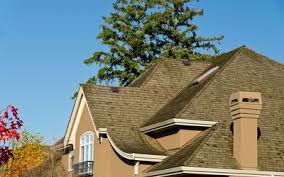 A home purchase is a serious. Pest Inspection When Selling A Home