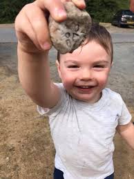 This must belong to a trick-or-treater or parent . Found this