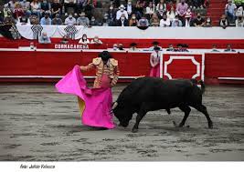 Apunte de Juangui: Torear Sin Torear | Voy a Los Toros
