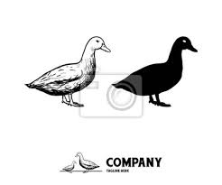 Hand Zeichnen Und Shilhouette Der Ente Leinwandbilder Bilder Hervorragend Branding Verpacken Myloview De