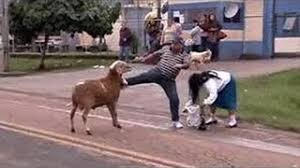 Два учасники Автомайдану отримали повістки в Нацполіцію - Цензор.НЕТ 3614