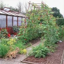 Mariondee Designs Veggie Patch 39 Garden Arch 39 Inspiration 2014 Garten Gartenarbeit Im Februar Diy Garden