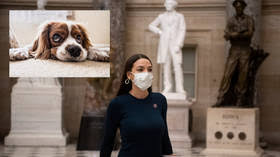 Explosion ce matin dans un immeuble rue borie dans le quartier des chartrons à #bordeaux très important dispositif de secours déployé dans le quartier pic.twitter.com/riisjatq2y. Qxxn Gvldaapxm