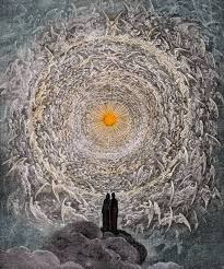 Image result for Gnidia inconspicua