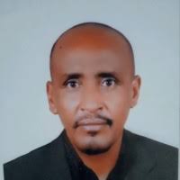 200+ "علي الحسين" profiles