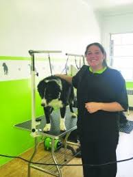 Bathe the pets with this glove, which will clean the pet hair easily and give your pets a gentle massage without hurting their skin; Dog Grooming Now Open On Murry Street The Ely Times