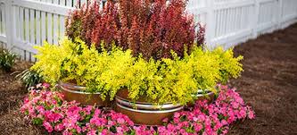 Shine Bright With This Garden Project Diy Garden Diy Garden Furniture Garden Projects