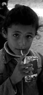 6-531 AnnualReport CRX .indd, page 1-28 @ Normalize ( 6-531 AnnualReport  CRX .indd )