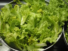 なばなの からし和え ログハウスに住み 料理 野菜 家具作り