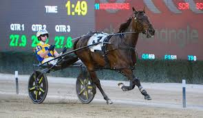 Stars building for Queensland harness racing features