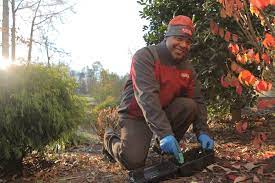 As drew's colleague, i can vouch that he is a consummate professional that works diligently to solve each customer's pest control issues as. Go Forth Pest Control Home Facebook