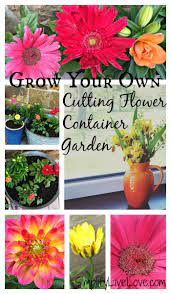 Maybe you would like to learn more about one of these? Pin On Landscape